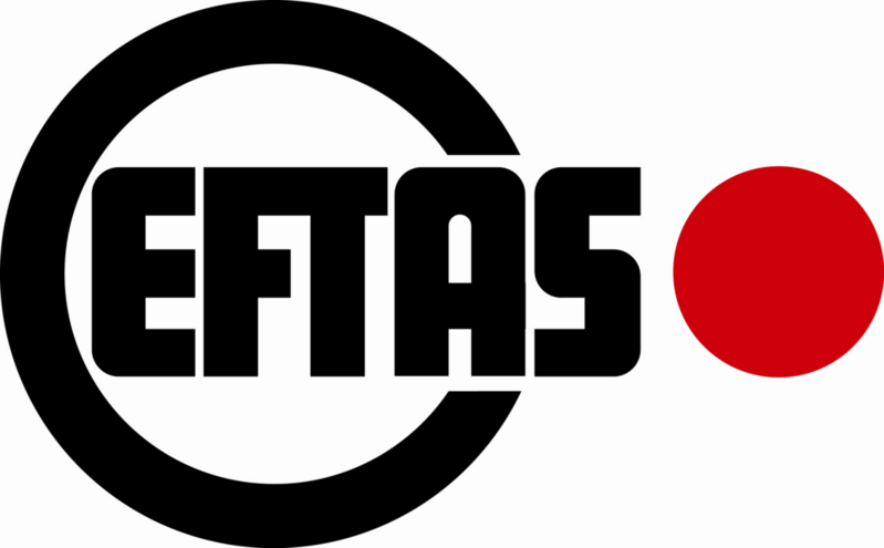 Logo der EFTAS Fernerkundung Technologietransfer GmbH